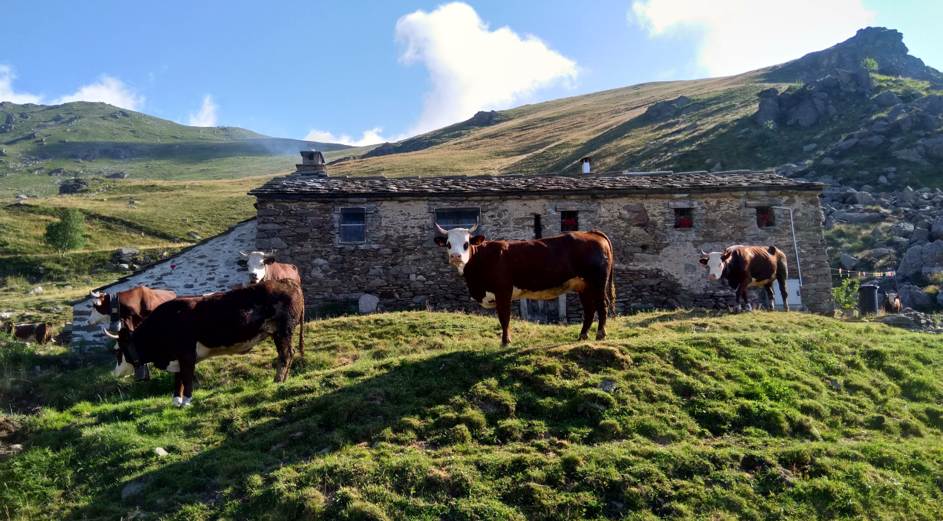 Escursione guidata alle sorgenti del Burro a latte crudo Presidio Slow Food
attivabile su prenotazione
