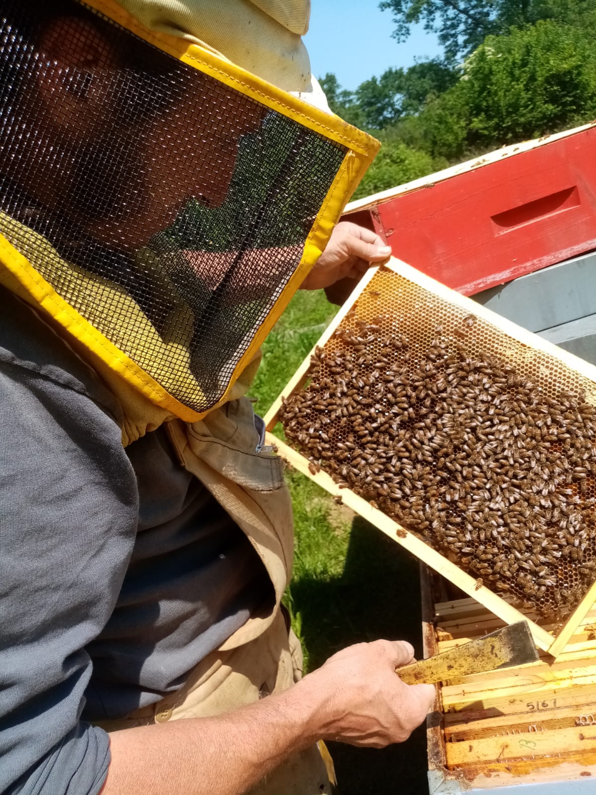 L’APEritiva apicoltura nomade di Maffeo Cristian