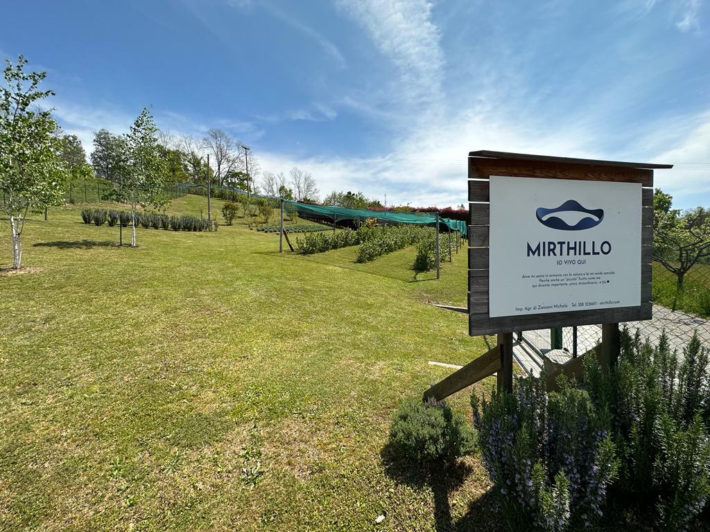 Mirthillo – Io Vivo qui Azienda Agricola di Zanzani Michela