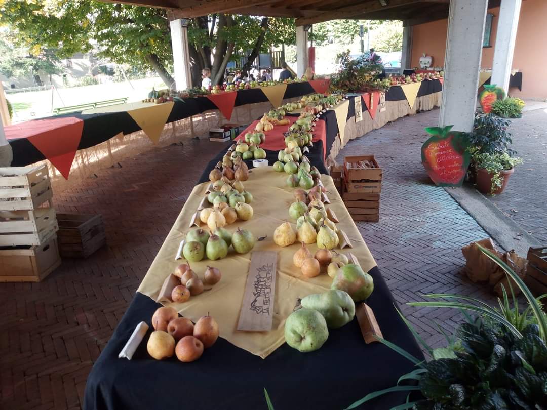 Mostra sulle antiche varietà di mele e di pere con mercato dei produttori