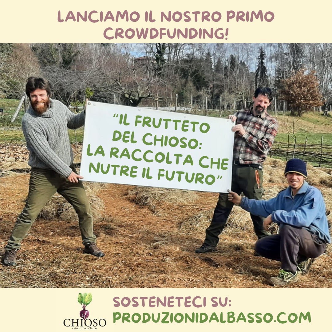 🌱 Sostieni il Frutteto del Chioso! Aiutaci a piantare alberi antichi, introdurre pecore per il pascolo naturale e promuovere un’agricoltura sostenibile. Scopri il progetto e unisciti a noi!