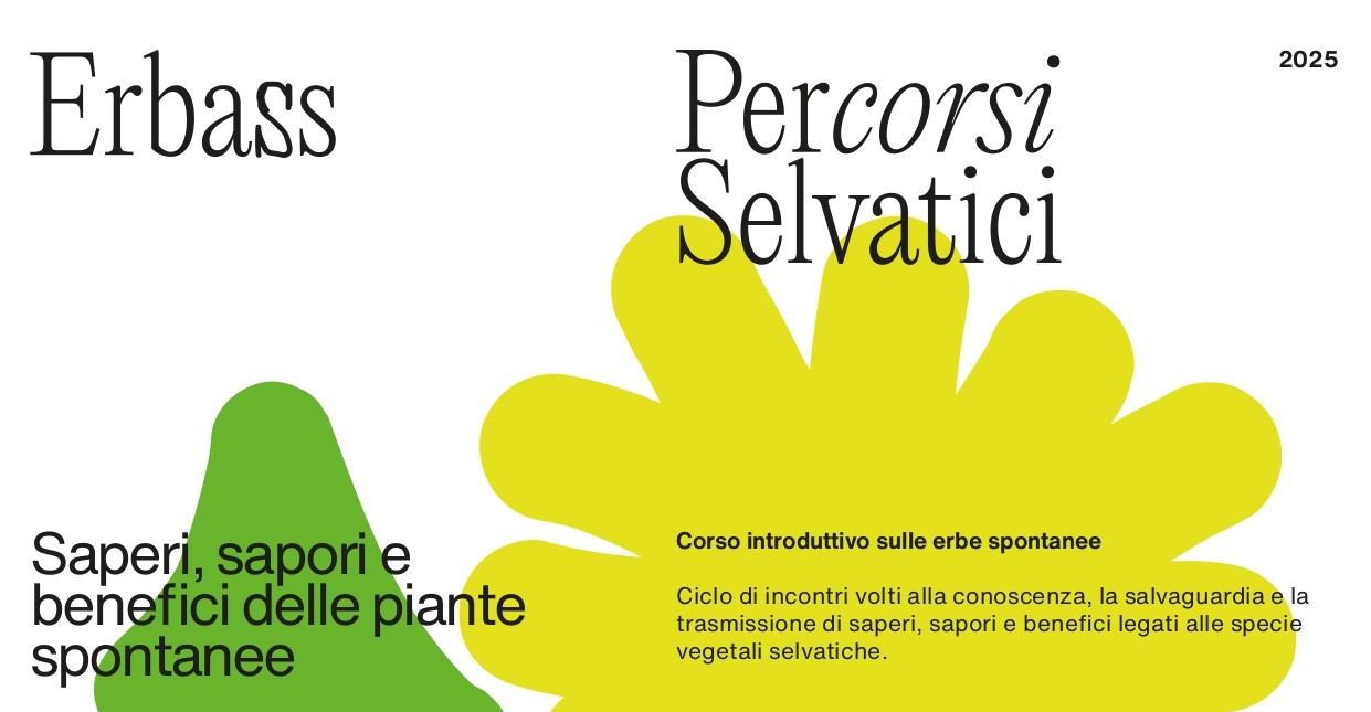 Tra marzo e maggio 2025, tre incontri per immergersi nella conoscenza delle erbe spontanee, imparando a riconoscerle, proteggerle e utilizzarle in cucina e per il benessere.