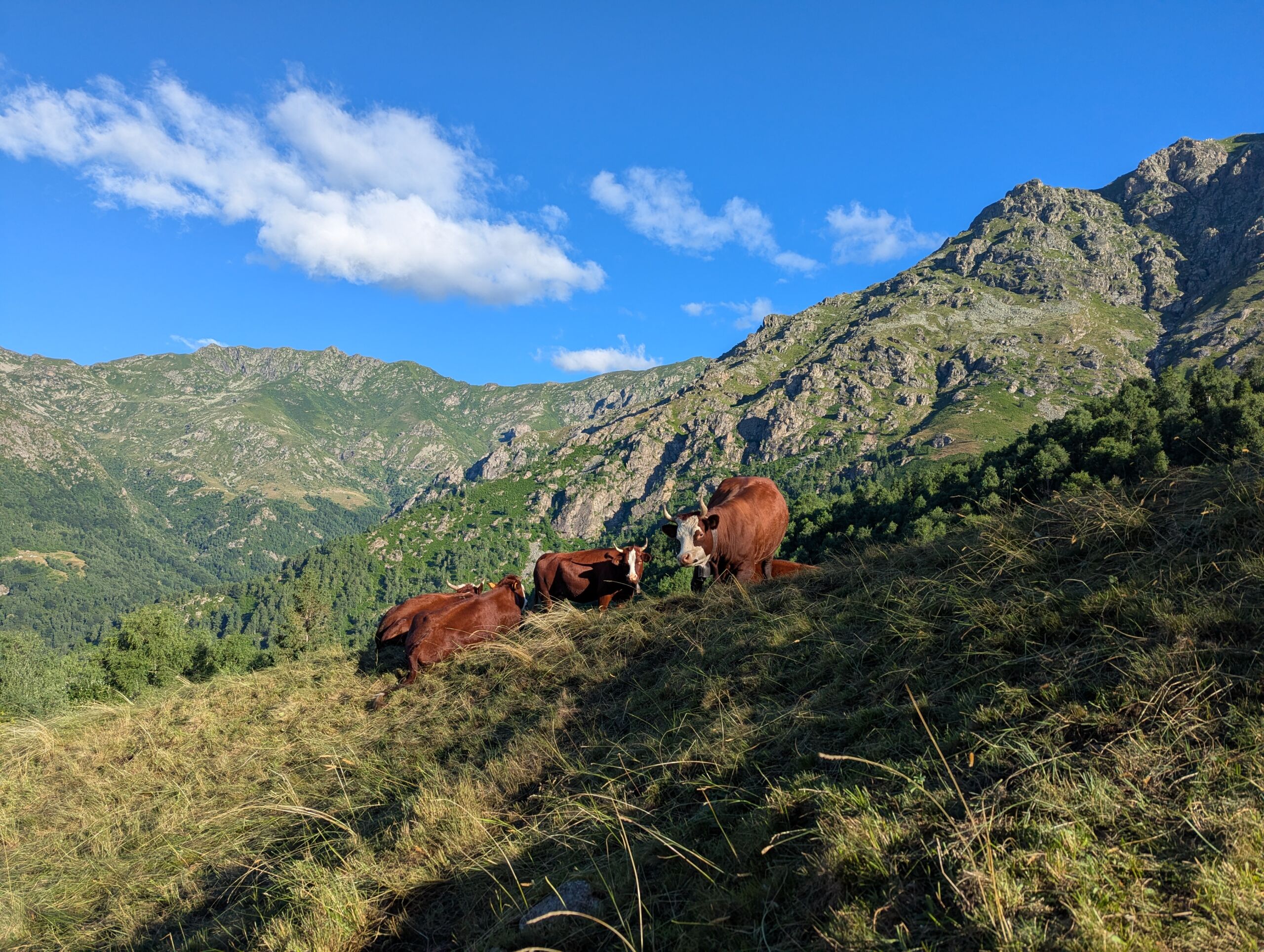 Evento CUBITO - Città Studi Biella